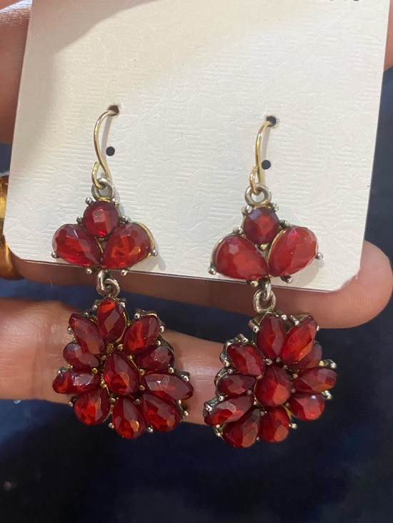 unknown Jewelry - Elegant Red Crystal Drop Earrings